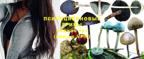 скорость Горняк